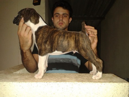 Thor Barun Sallenrod